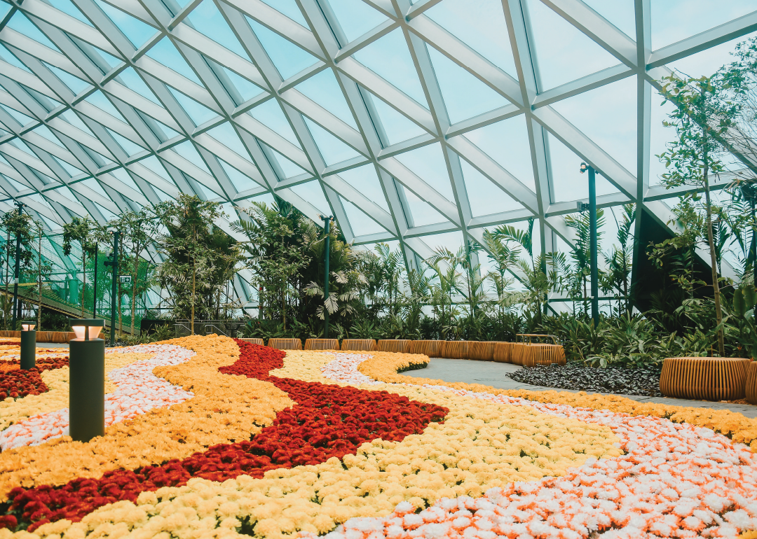 bed of flowers at the petal garden in jewel changi airport in singapore
