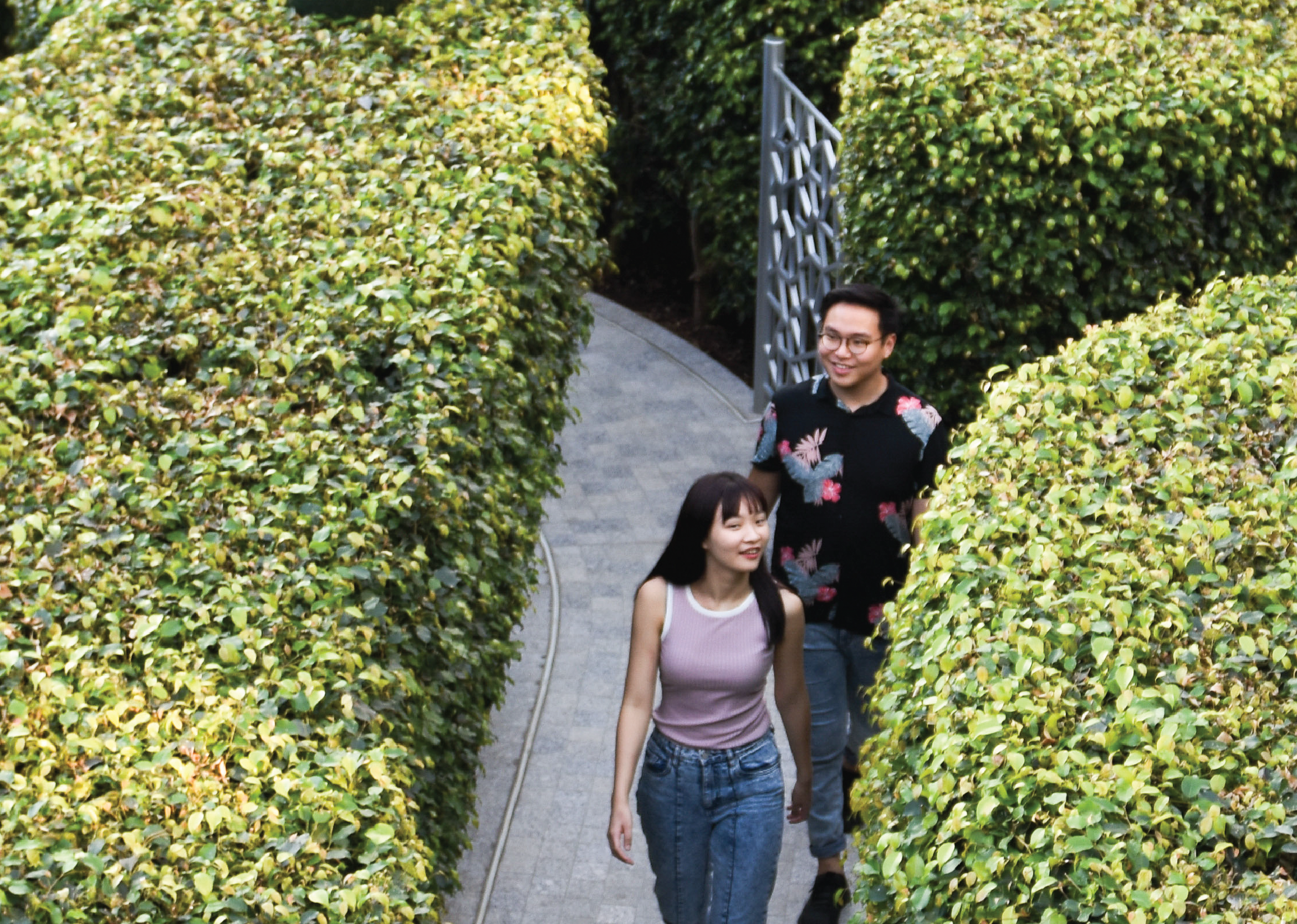 things to do in singapore, hedge maze jewel changi airport 