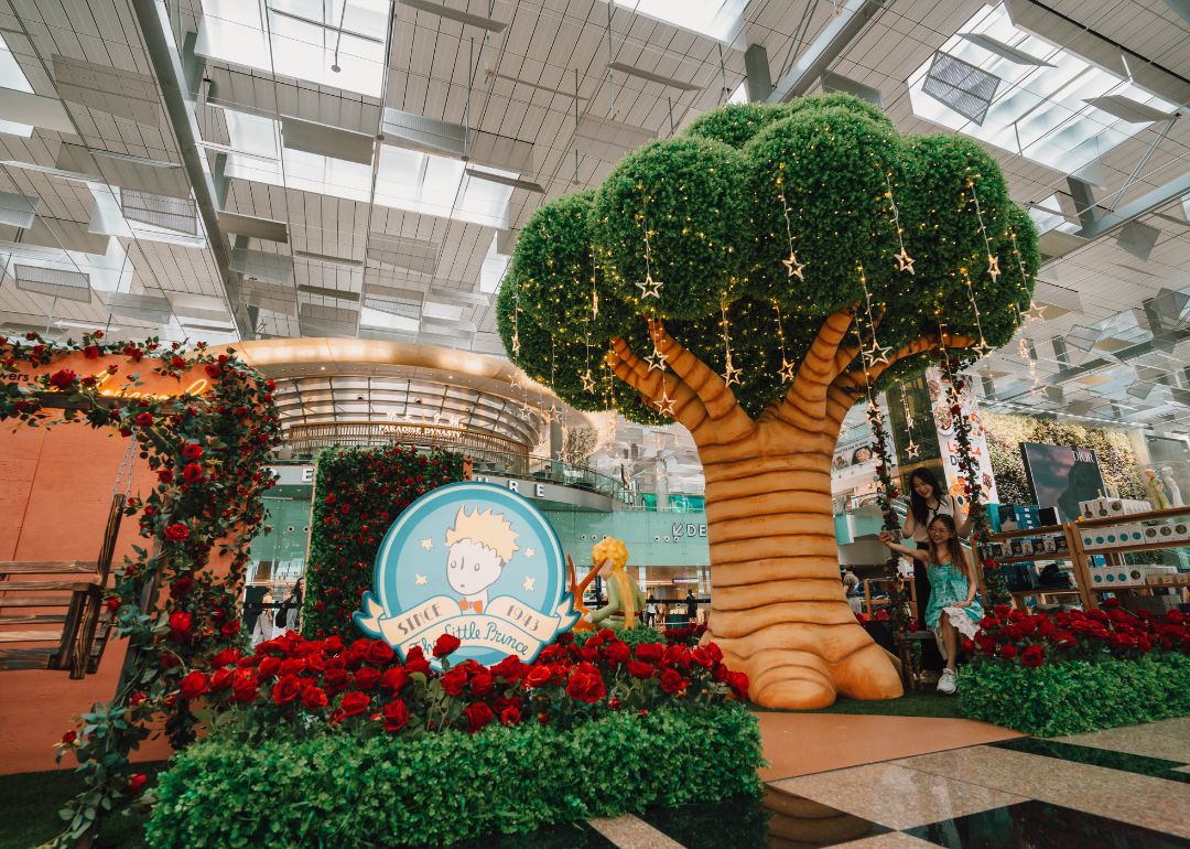 photo spots at singapore changi airport attractions