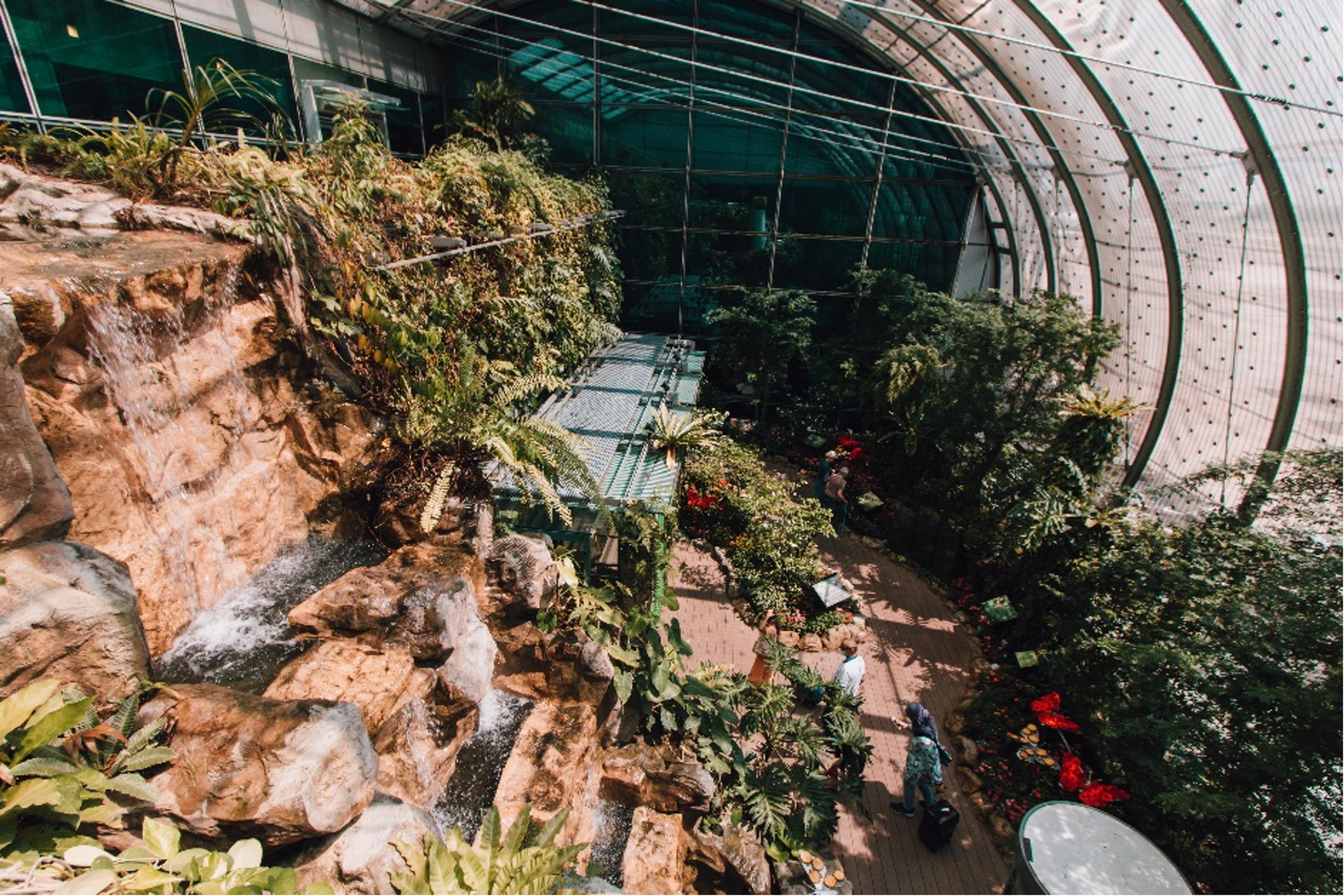 A wide shot of the butterfly garden filled with greenery with a cascading waterfall to the left