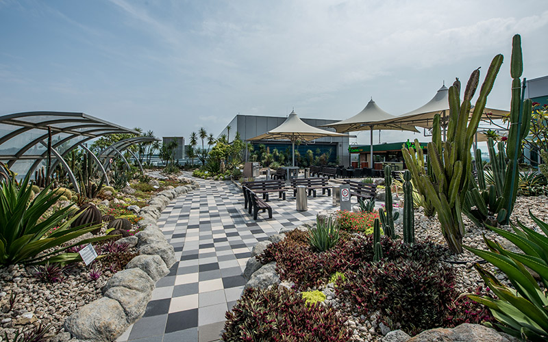 Changi Airport Terminal 1: Outdoor Rooftop Cactus Garden - LEPL