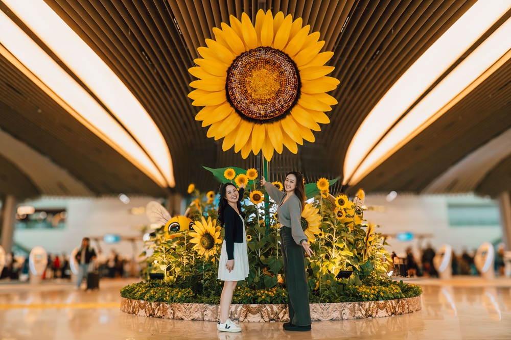 sunflower sojourn terminal 2 departure hall