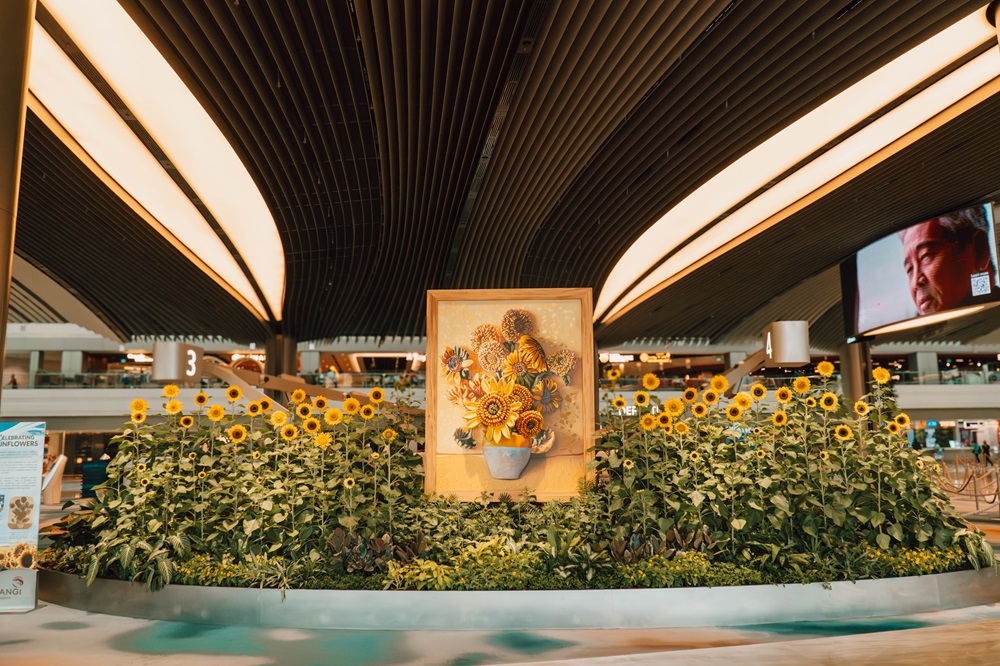 sunflower sojourn terminal 2 departure hall north