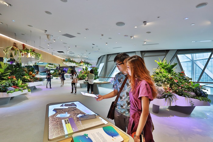 Go on an adventure in the Changi Experience Studio at Jewel