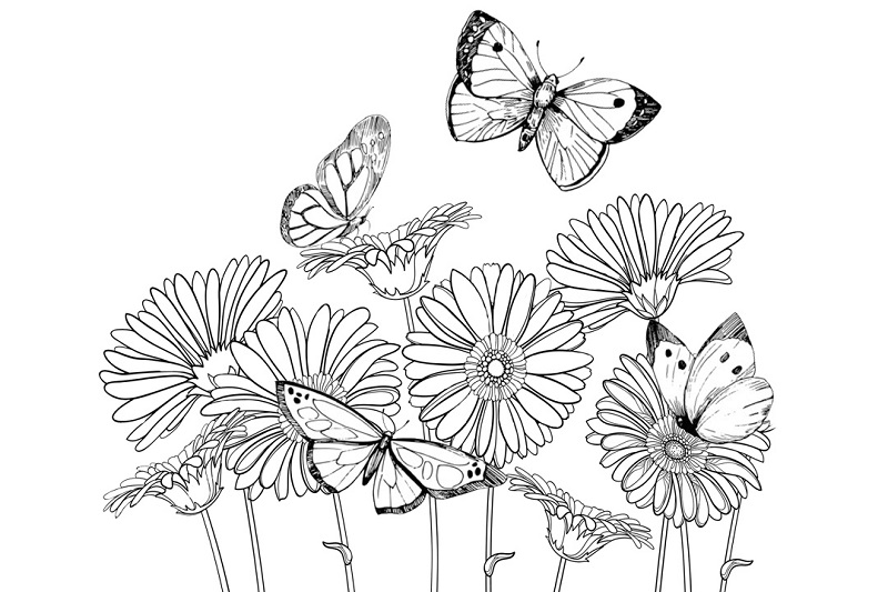 A black and white colouring activity featuring flowers and butterflies from Changi’s Butterfly Garden