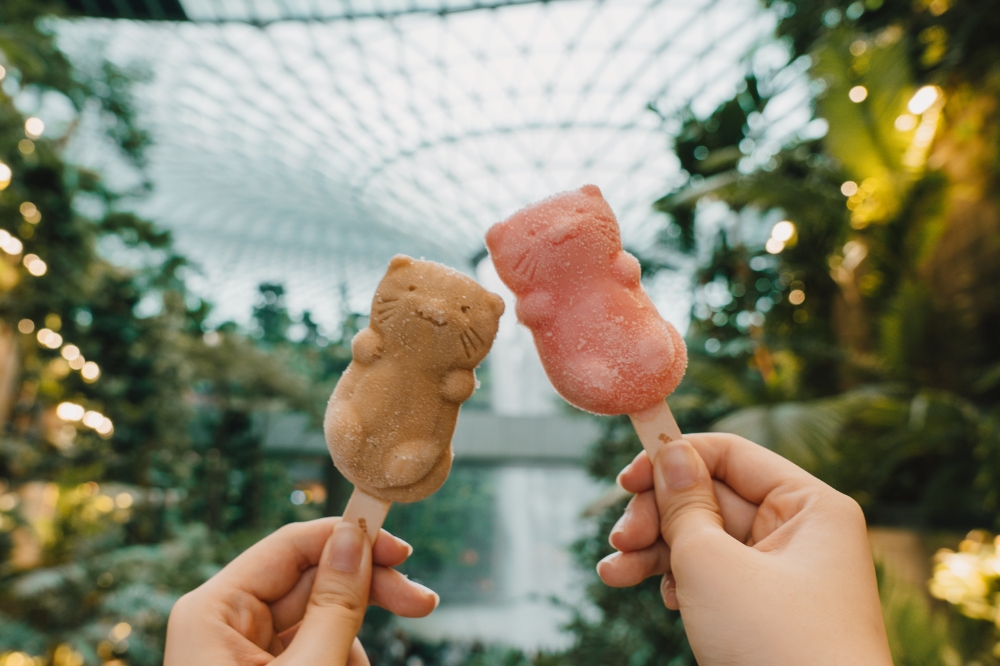 ice cream popsicles against Jewel Changi Airport's Rain Vortex