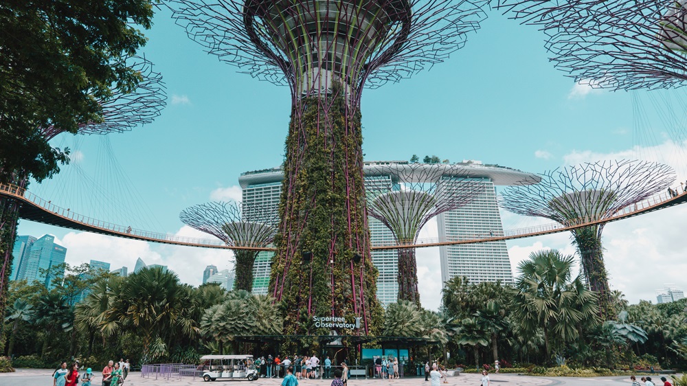 gardens by the bay