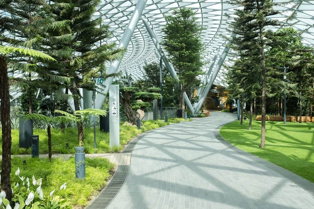 canopy park at jewel changi airport singapore