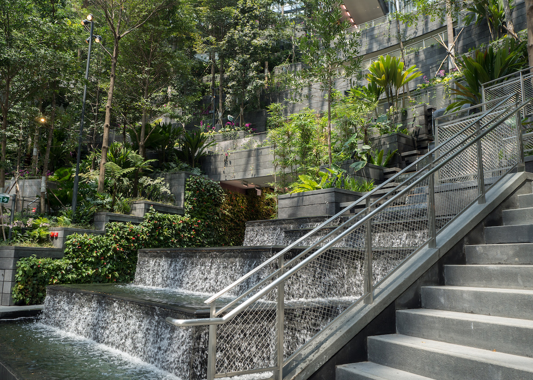 walk up steps at shiseido forest valley, singapore