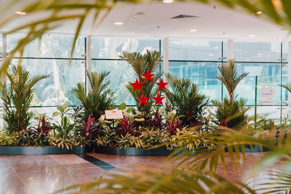 Horticultural affairs: What it's like caring for 600,000 plants in Changi  Airport