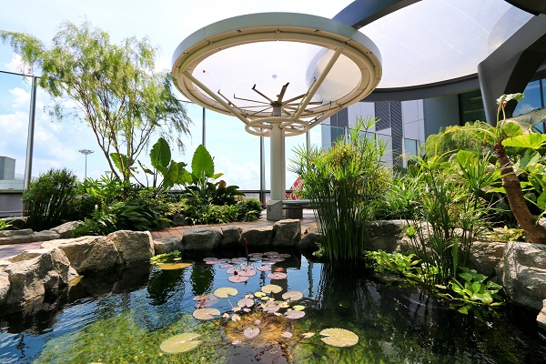 water lily garden at changi airport terminal 1