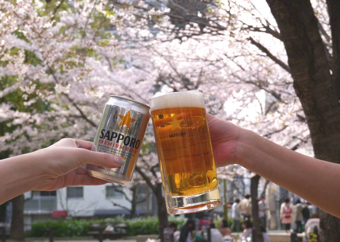 alcohol lovers having sapporo beer