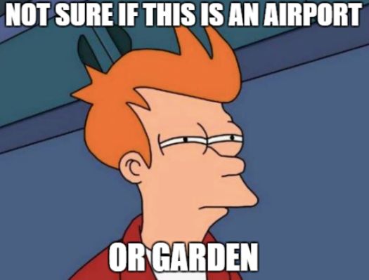 A 'Not sure if it's an airport or a garden' meme