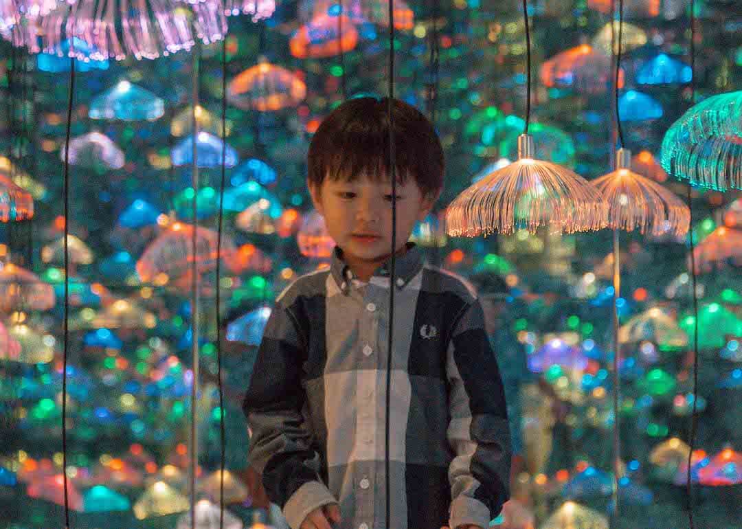 things to do in singapore, jellyfish installation at t3 changi airport