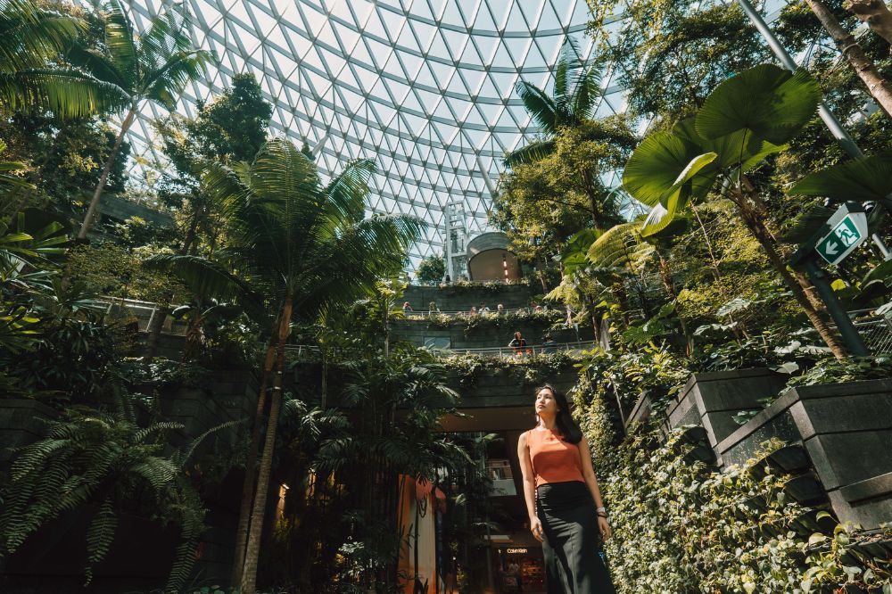 Jewel Changi Airport's Shiseido Forest Valley