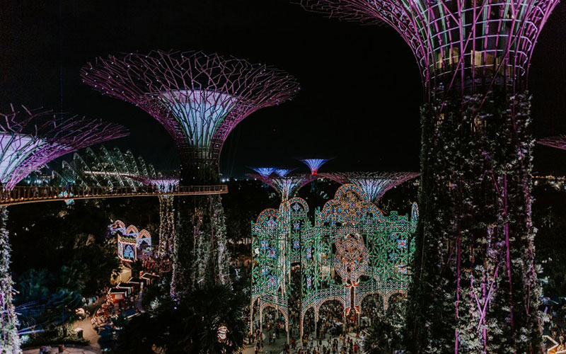 The magical lights of Gardens by the Bay
