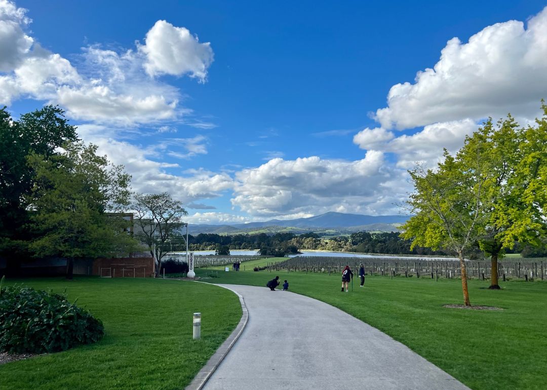 picturesque view just outside the chandon winery at yarra valley