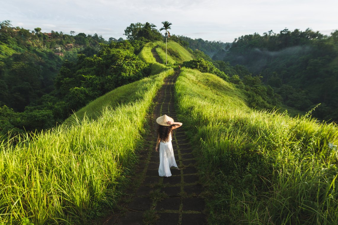 bali boasts lush greenery, celebrated paddy fields, and other scenic landscapes
