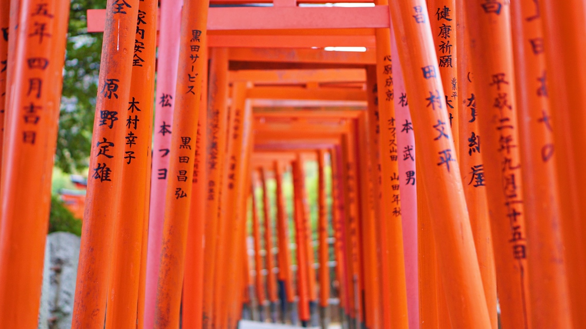 the torii gates of the nezu shrine in tokyo, japan transports you to another dimension