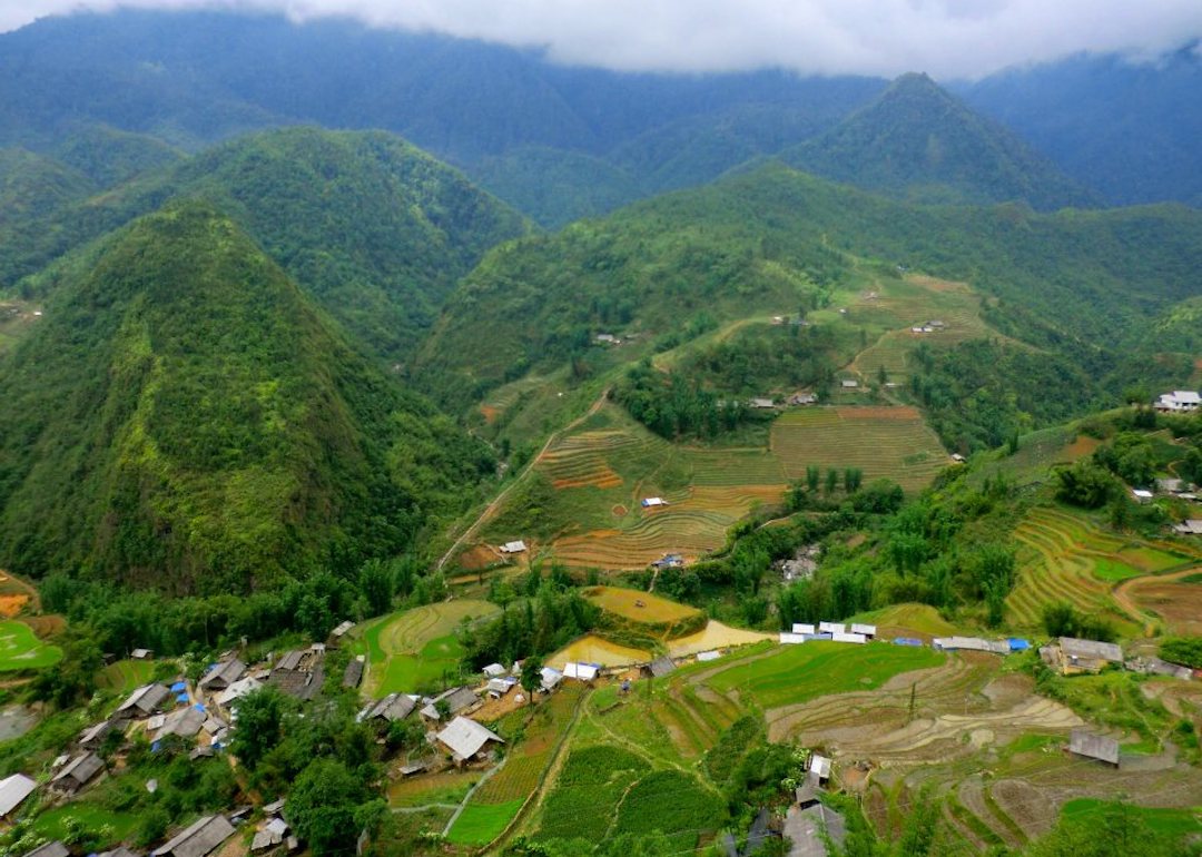 Rice padi fields amid the Sapa mountains