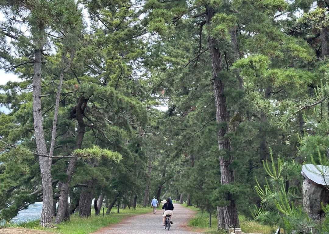 a cycling path along the sandbar in amanohashidate 