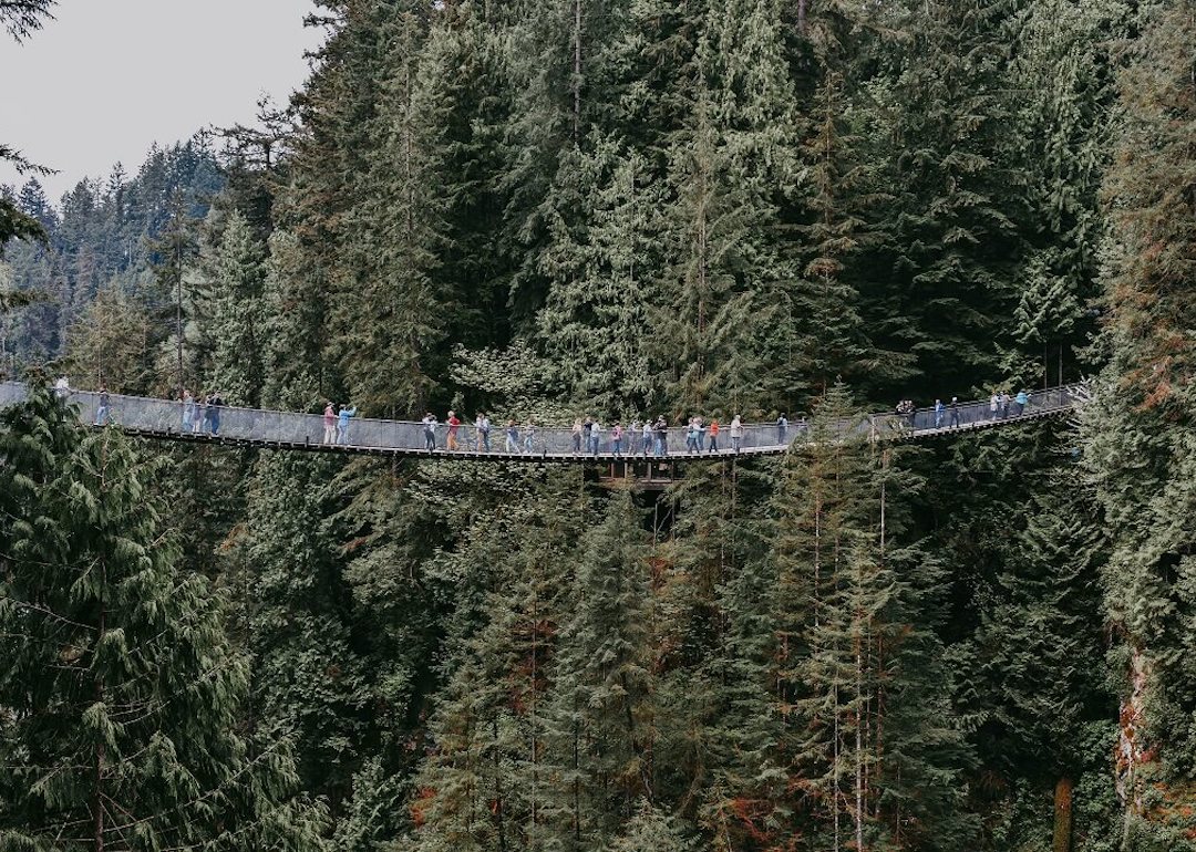 capilano suspension bridge park vancouver british columbia