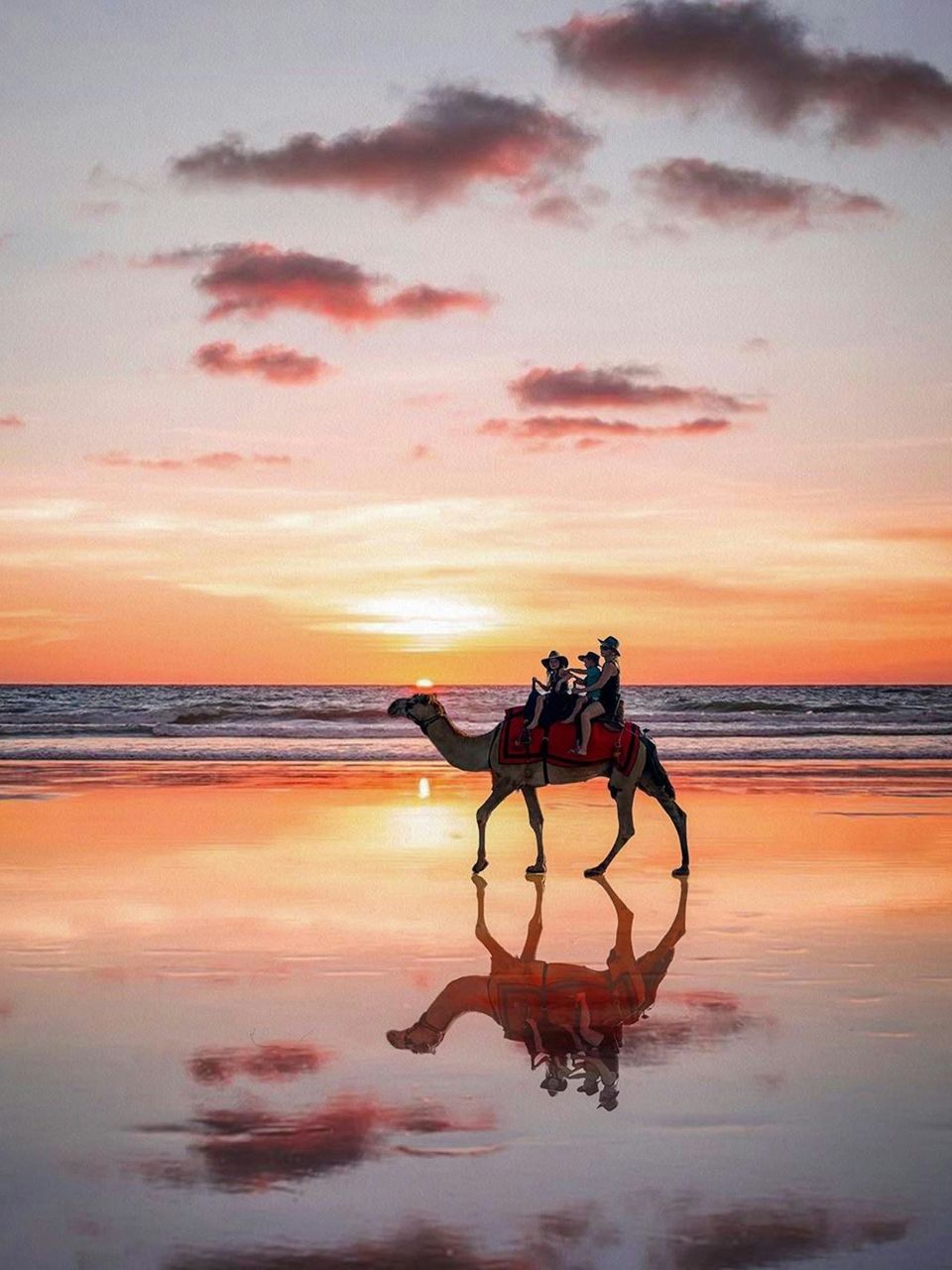 woman and two children on a sunset camel ride down cable beach in broome