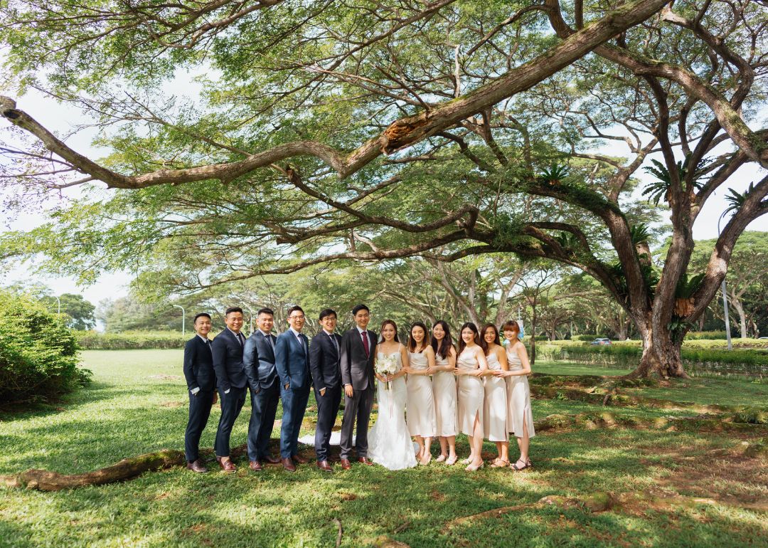 A wedding couple with five groomsmen and 5 bridesmaids stand in a file under a giant tree.