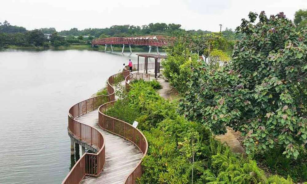 A top down view of the boardwalk and adventure bridge at Punggol Waterway Park