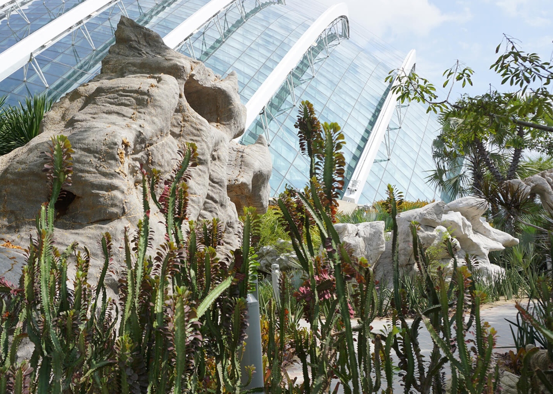floral artistry at the canyon gardens by the bay