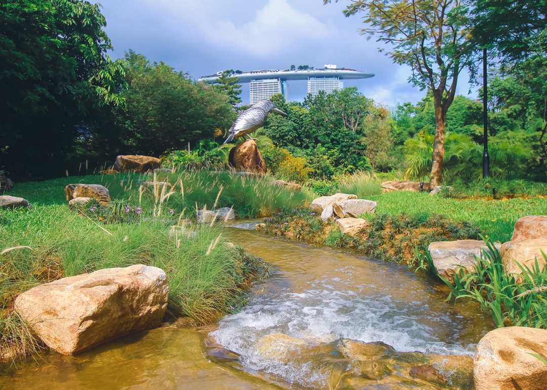 singapore attractions kingfisher wetlands