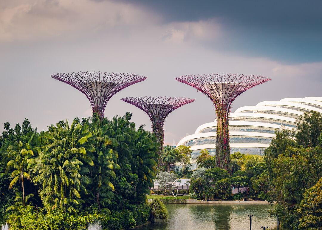 gardens by the bay singapore supertree groves