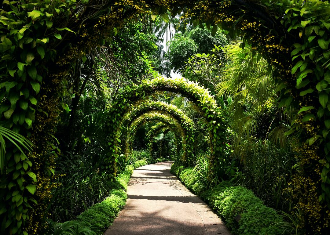 singapore botanic garden, serene garden