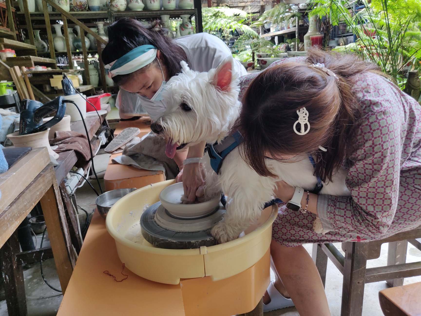 fun things to do in singapore, thow kwang pottery jungle