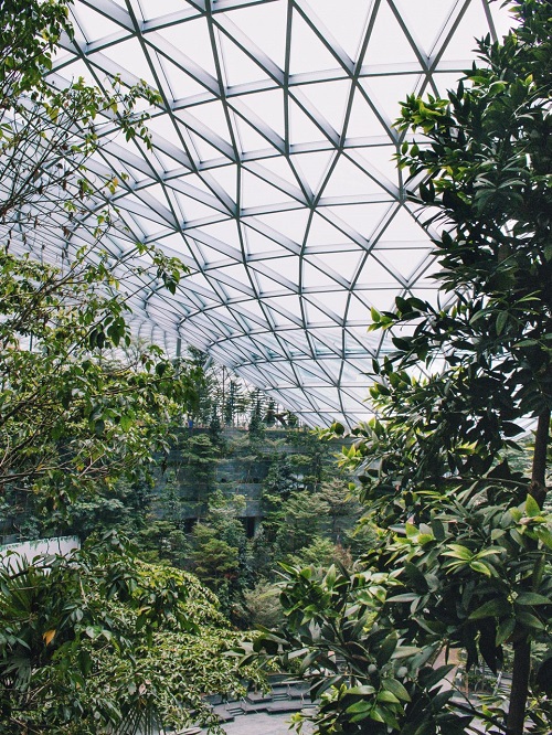 forest valley at jewel changi airport in singapore