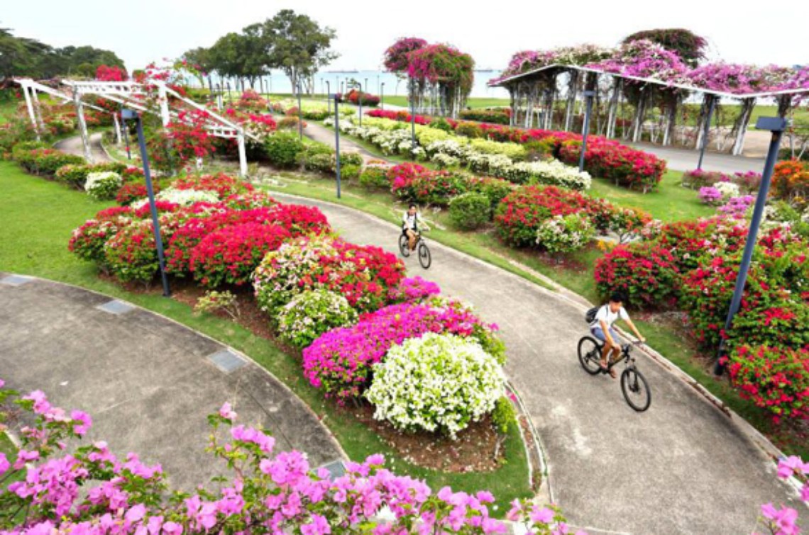 cycling route at bougainvillea garden at east coast park, singapore