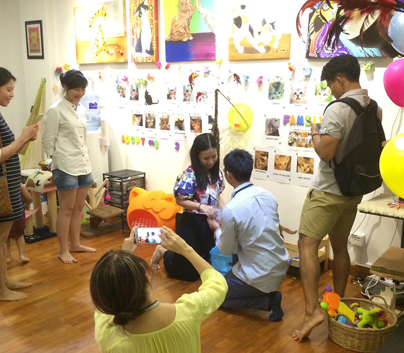 Gallery and demonstration on understanding and caring for felines, The Cat Museum, Singapore.