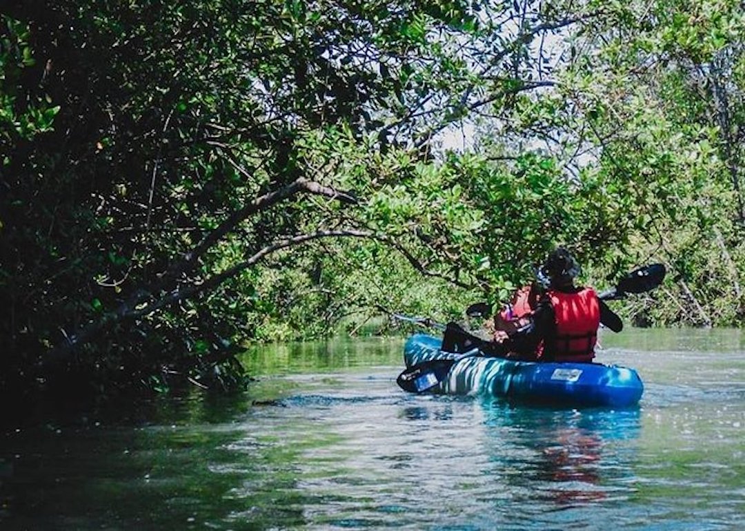 kayaking through mangroves in pulau ubin singapore