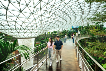 MASTERCARD® CANOPY BRIDGE