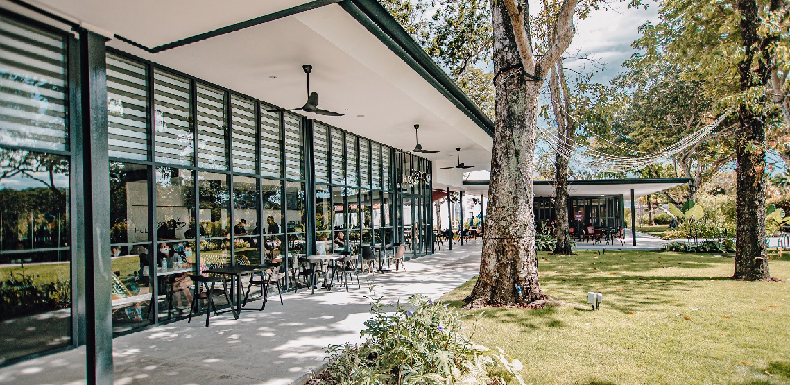 11 Dog-friendly cafes & activities in the East of Singapore